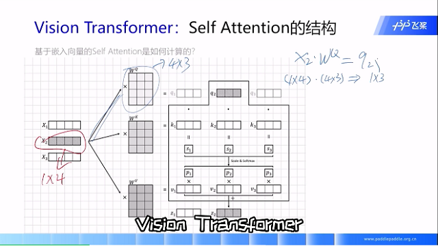 NLP Vision Transformer开源直播课带你从零玩转ViT爆款模型