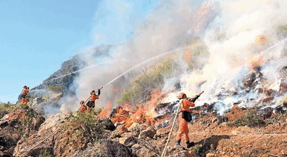 森林防火预警系统